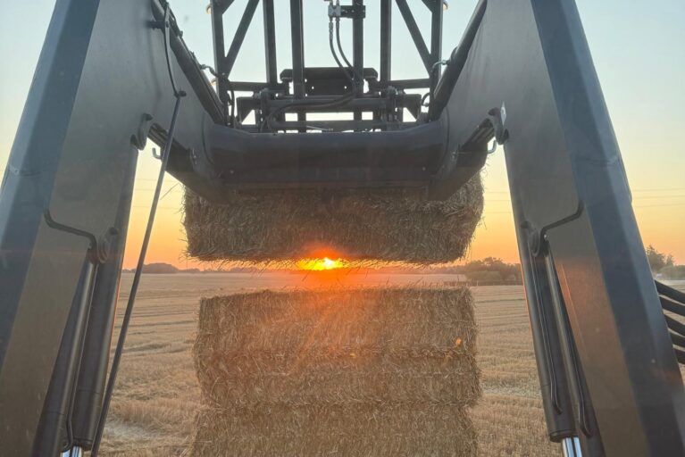 69e1a028-c0db-4ce0-bd18-d6284d2f4c88