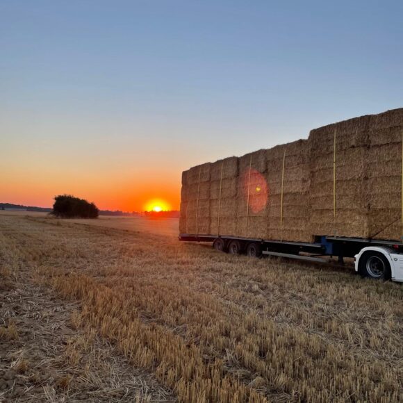 a92f5c07-d080-446d-bba5-afc58039ad74