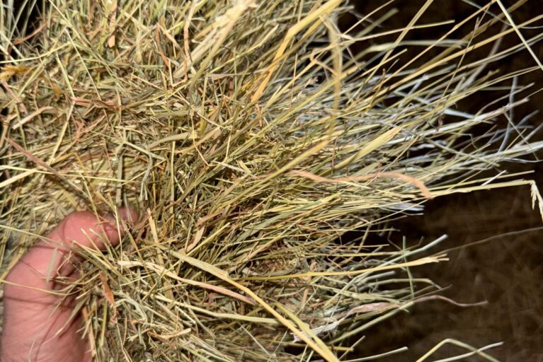 ba2caa54-7763-4a4c-b0dc-11e70ef91a14